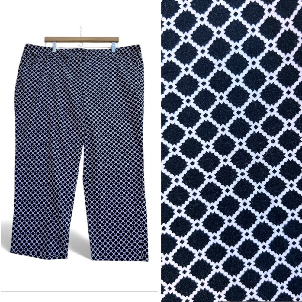 Zac & Rachel geometric pants 22W
